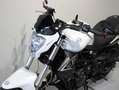 Benelli BN 302 - thumbnail 8