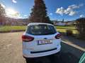 Ford C-Max C-MAX Trend 1,0 EcoBoost Trend Weiß - thumbnail 4