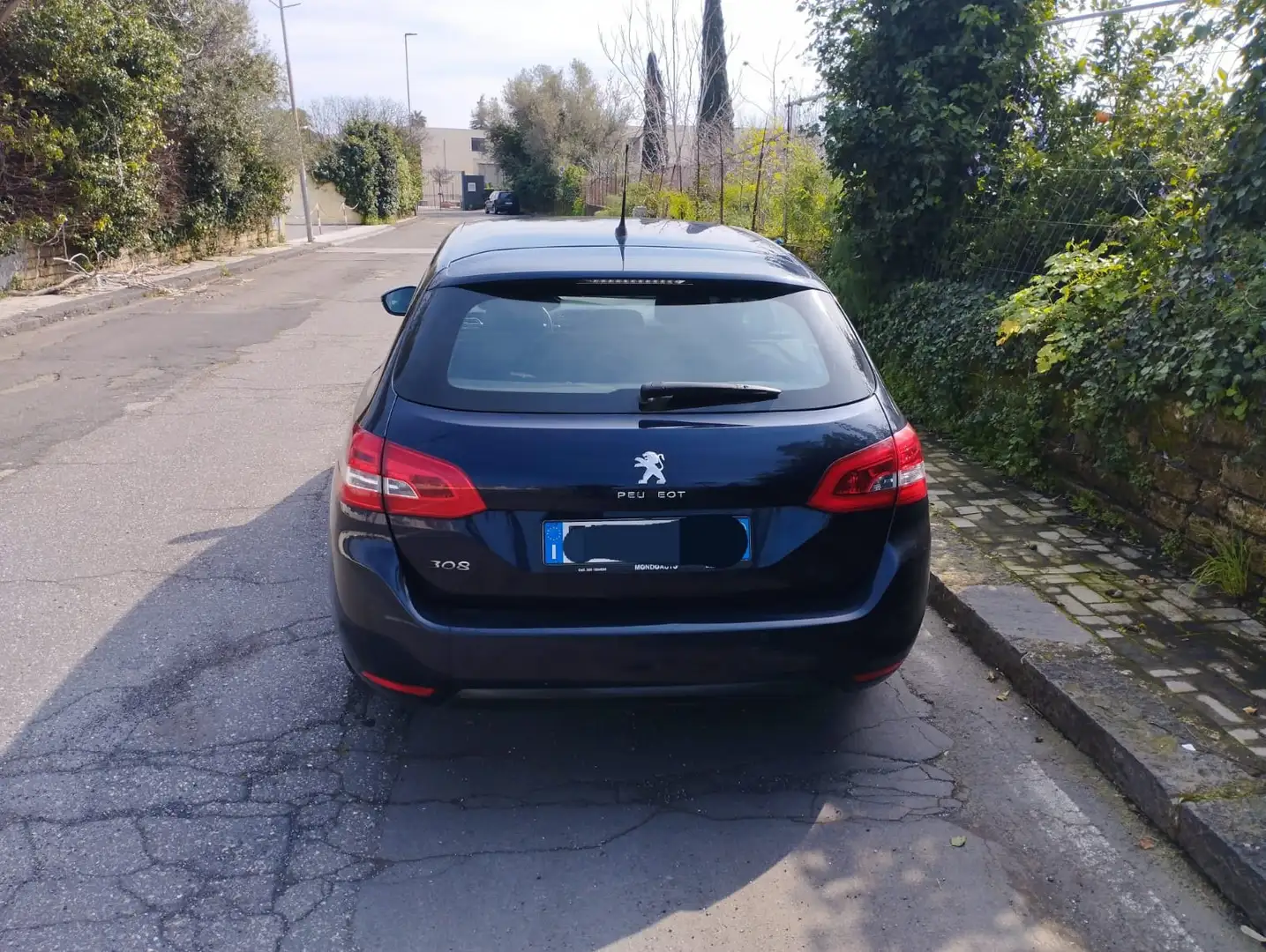 Peugeot 308 308+SW+1.6+bluehdi+Business+s Blu/Azzurro - 1