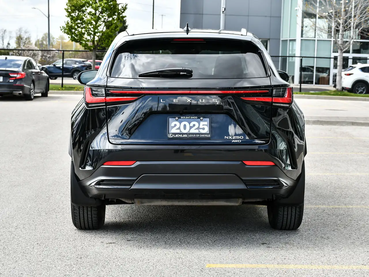 Lexus NX снимка Lexus NX