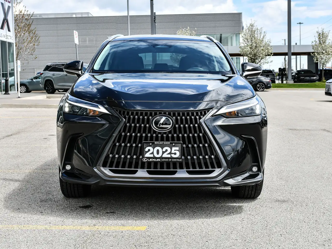 Lexus NX снимка Lexus NX