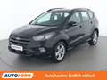 Ford Kuga 2.0 TDCi ST-Line Schwarz - thumbnail 1