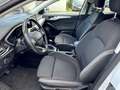Ford Focus Turnier 1.5 ECOB Cool & Connect/LED/ACC Weiß - thumbnail 10