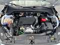 Ford Focus Turnier 1.5 ECOB Cool & Connect/LED/ACC Weiß - thumbnail 15