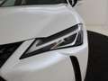 Lexus UX 250h Business Line | Parkeercamera | Navigatie | Apple Weiß - thumbnail 9