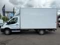 Ford Transit 2,0 L4H1 350, Kofferaufbau XXL 25.000€ Netto Weiß - thumbnail 2