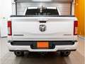 Dodge RAM BIG HORN 2022 Bianco - thumbnail 3