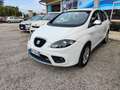 SEAT Altea Freetrack 4x4 MOTORE 2.0 DA 170 CV Bianco - thumbnail 4