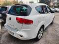 SEAT Altea Freetrack 4x4 MOTORE 2.0 DA 170 CV Bianco - thumbnail 5