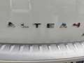 SEAT Altea Freetrack 4x4 MOTORE 2.0 DA 170 CV Bianco - thumbnail 12