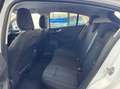 Ford Focus 1.0t ecoboost h ST-Line 125cv - thumbnail 14
