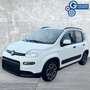 Fiat Panda Panda 1.0 FireFly S&S Hybrid City Life Bianco - thumbnail 7