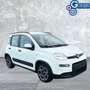 Fiat Panda Panda 1.0 FireFly S&S Hybrid City Life Bianco - thumbnail 2