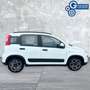 Fiat Panda Panda 1.0 FireFly S&S Hybrid City Life Bianco - thumbnail 4
