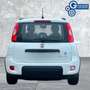 Fiat Panda Panda 1.0 FireFly S&S Hybrid City Life Bianco - thumbnail 6