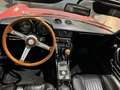 Alfa Romeo Spider Spider 1750 Veloce 114cv ASI Rouge - thumbnail 7