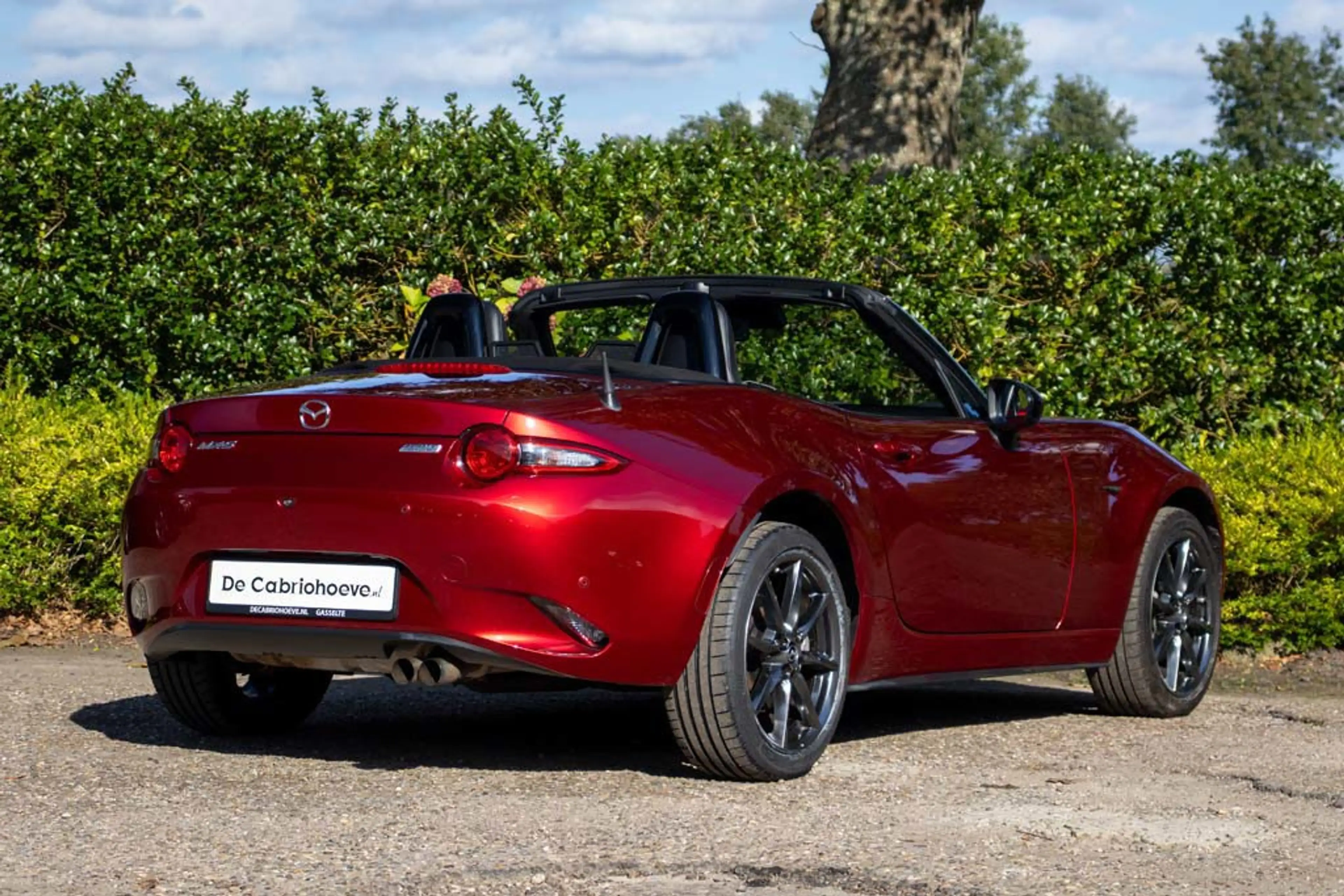 Mazda MX-5 ND 2.0l SkyActiv-G 184 TS+ Soul Red Crystal Metall — photo 5