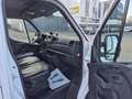 Nissan NV400 Pritsche Doppelkabine L3H1 3,5t PRO*1.Hand Білий - thumbnail 13