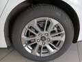 Ford Focus Focus Turnier Titanium Blanc - thumbnail 13