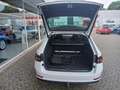 Skoda Superb Sportline 4x4*AHK*PANO*Standheizung Weiß - thumbnail 6