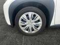 Toyota Aygo 1.0 Business Edition FLA SpurH KAM Navi Weiß - thumbnail 14