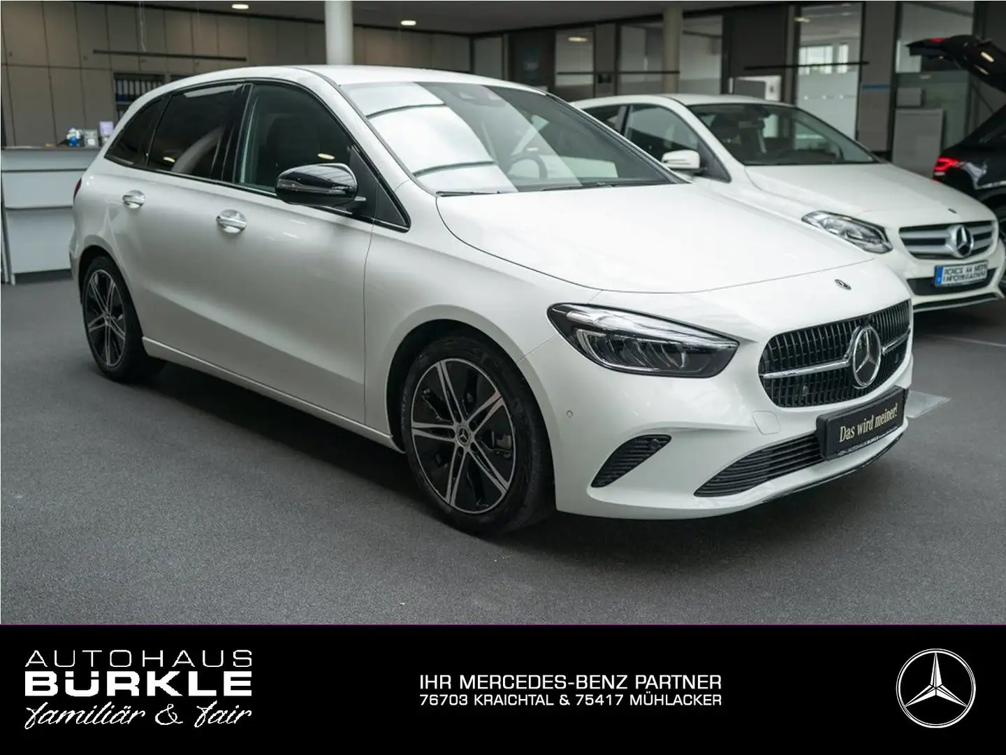 Mercedes-Benz B 250 4M Progr.adv.plus,Keyless,Sthzg,Distr,Easy Weiß - 1