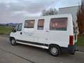 Caravans-Wohnm Knaus Boxstar Fiat Ducato 2.3 JTD  KLIMA AHK Blanc - thumbnail 25