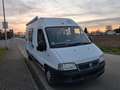 Caravans-Wohnm Knaus Boxstar Fiat Ducato 2.3 JTD  KLIMA AHK Blanc - thumbnail 26