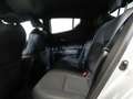 Toyota C-HR 180H Advance + pack luxury Grijs - thumbnail 11