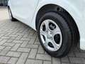 Kia Picanto 1.0 Edition 7 Navigation Kamera Weiß - thumbnail 16