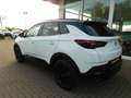 Opel Grandland X Grandland GS+SHZ+LRH+KAMERA+KLIMA Weiß - thumbnail 8