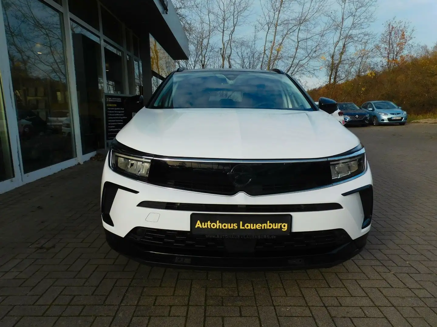Opel Grandland X Grandland GS+SHZ+LRH+KAMERA+KLIMA Weiß - 2
