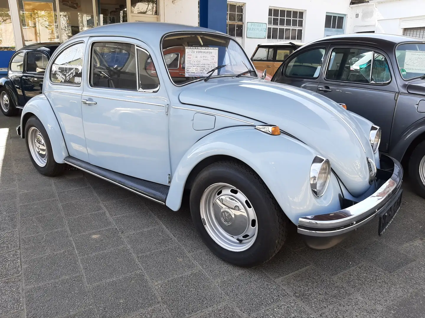 Volkswagen Käfer 1300 Albastru - 2
