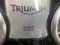 Triumph Trophy Gris - thumbnail 5