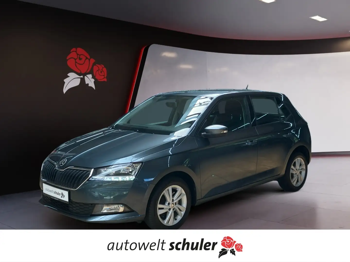 Skoda Fabia 1.0 TSI Ambition SmartLink SHZ Rfk Gris - 1