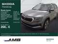 Skoda Karoq Tour 1.5 TSI DSG/Lodge/AHK/Matrix/Pano/360 Grau - thumbnail 1
