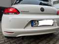 Volkswagen Scirocco Scirocco 1.4 TSI Match Weiß - thumbnail 6