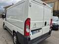 Citroen Jumper Fg. 2.2HDI 30 L1H1 110 Blanc - thumbnail 9