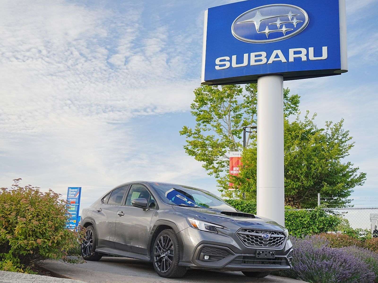 2023 Subaru WRX
