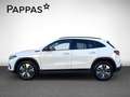 Mercedes-Benz EQA 250 Distr Navi PTS SHZ LED EASY-PACK Wide Weiß - thumbnail 7