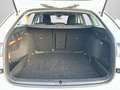 Skoda Octavia Combi 1,5 TSI DSG Selection NAVI/LED/RFK Weiß - thumbnail 15