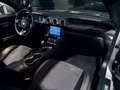 Ford Mustang (6) Fastback V8 BVA10 GT Grau - thumbnail 12
