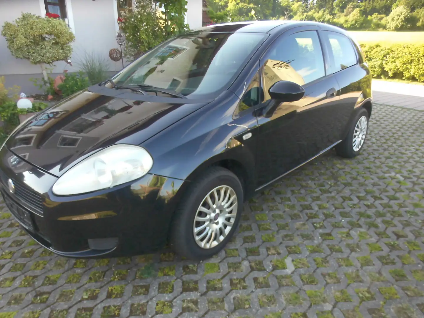 Fiat Punto Evo 1.2 8V Active 1. Hand unfallfrei HU 09/26 Schwarz - 1