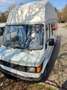Mercedes-Benz 208 207D James Cook Weiß - thumbnail 4