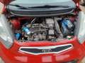 Kia Picanto Edition 7 Klima/Navi Bluetooth Rot - thumbnail 16