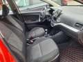 Kia Picanto Edition 7 Klima/Navi Bluetooth Rot - thumbnail 6