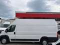 Fiat Ducato L4H4 Blanc - thumbnail 4