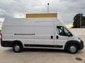 Fiat Ducato L4H4 Blanc - thumbnail 3