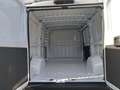 Fiat DUCATO KM.0 Wit - thumbnail 3