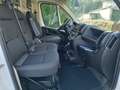 Fiat DUCATO KM.0 Wit - thumbnail 16